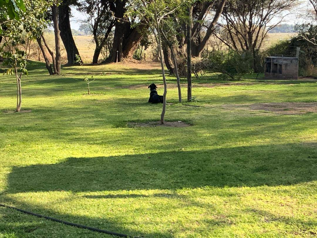 Lorato Lodge and Camping, Muchenje